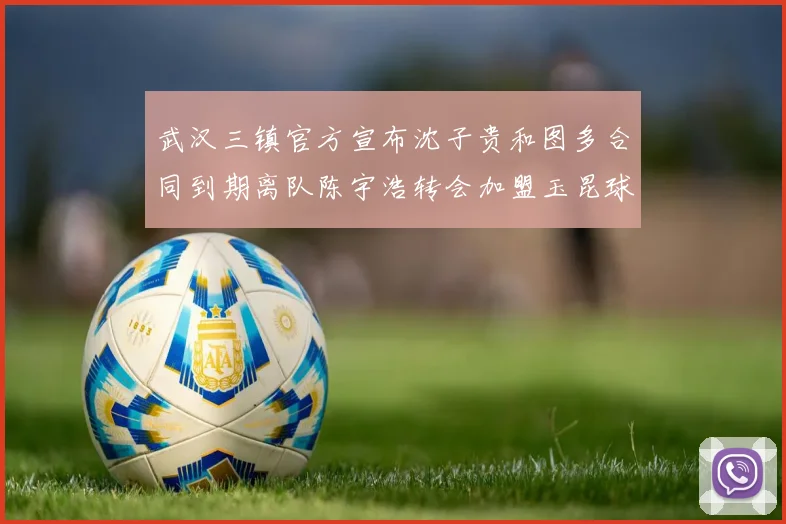 武汉三镇官方宣布沈子贵和图多合同到期离队陈宇浩转会加盟玉昆球队