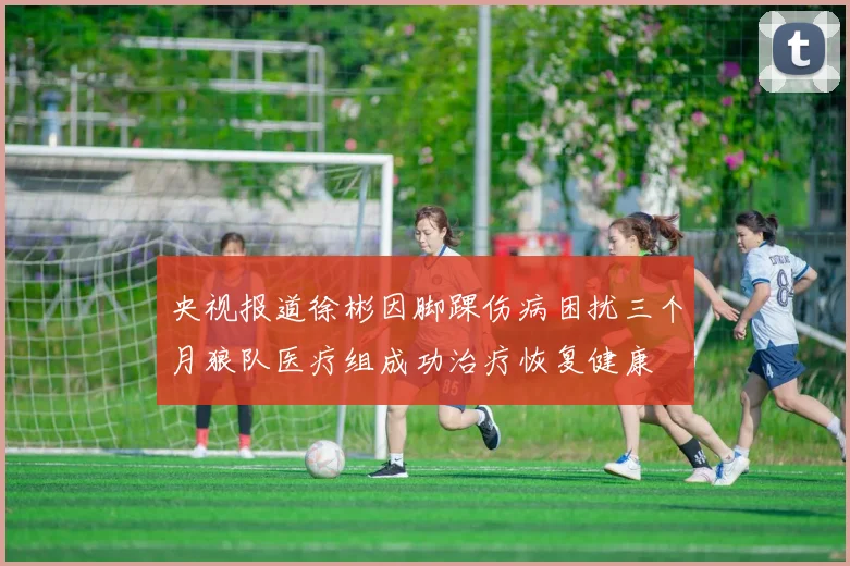 央视报道徐彬因脚踝伤病困扰三个月狼队医疗组成功治疗恢复健康